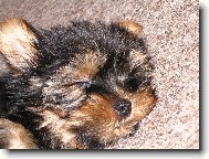 Spink�me!!!