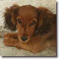 Na�e Betinka