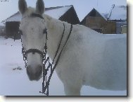 22let� Terezka