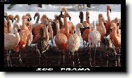 ZOO PRAHA