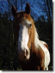 Pohled kon�