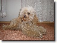 S�rinka