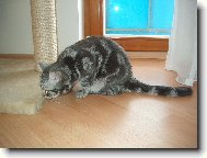 D�da