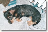 odpo�inek
