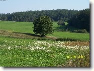 Dlouh� �ivot