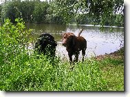 romantick� sch�zka ve dvou