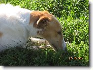 Odpo�inek