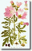 Sl�z P�ehl�en�