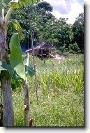 Ekv�dor (cestopis)