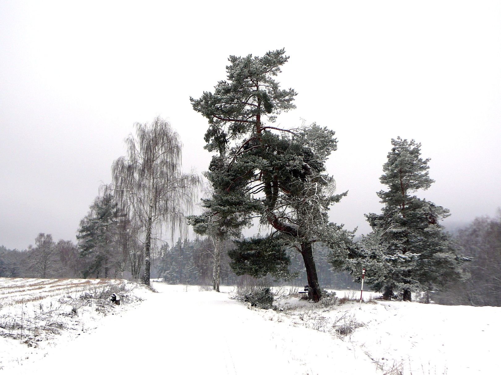 Foto: Silvestrovsk� proch�zka