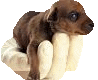 V�ce smajl�k� ke sta�en�