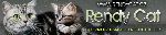 Chovatelska stanice ps�: RENDY CAT