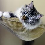 Chovatelska stanice ps�: SEKRET AKKEM*PL