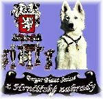 Chovatelska stanice ps�: Z HRN���SK� ZAHRADY