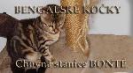 Chovatelska stanice ps�: BONT�