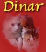 Chovatelska stanice ps�: DINAR